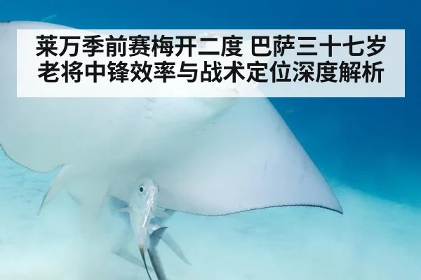 莱万季前赛梅开二度 巴萨三十七岁老将中锋效率与战术定位深度解析